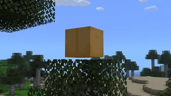Verity's floating box above Minecraft trees